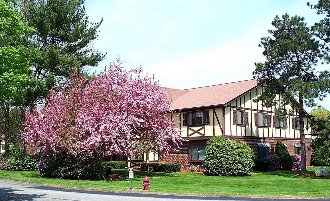 A Royal Crest Tudor building with a flowering tree in spring