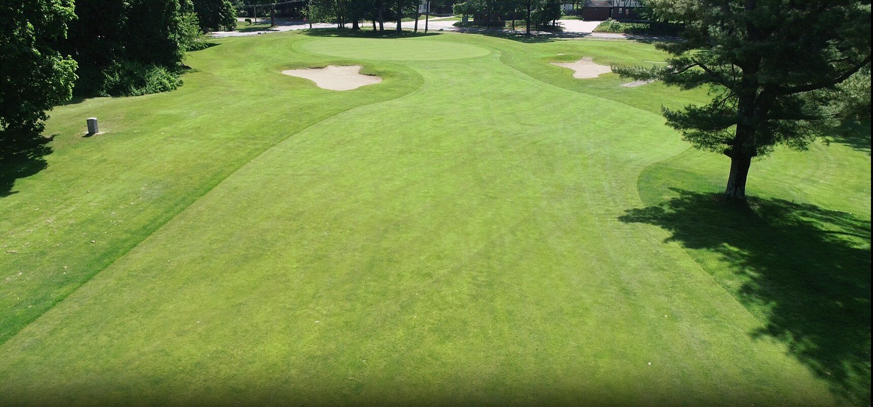 A green guarded by two bunkers, framed by a pine