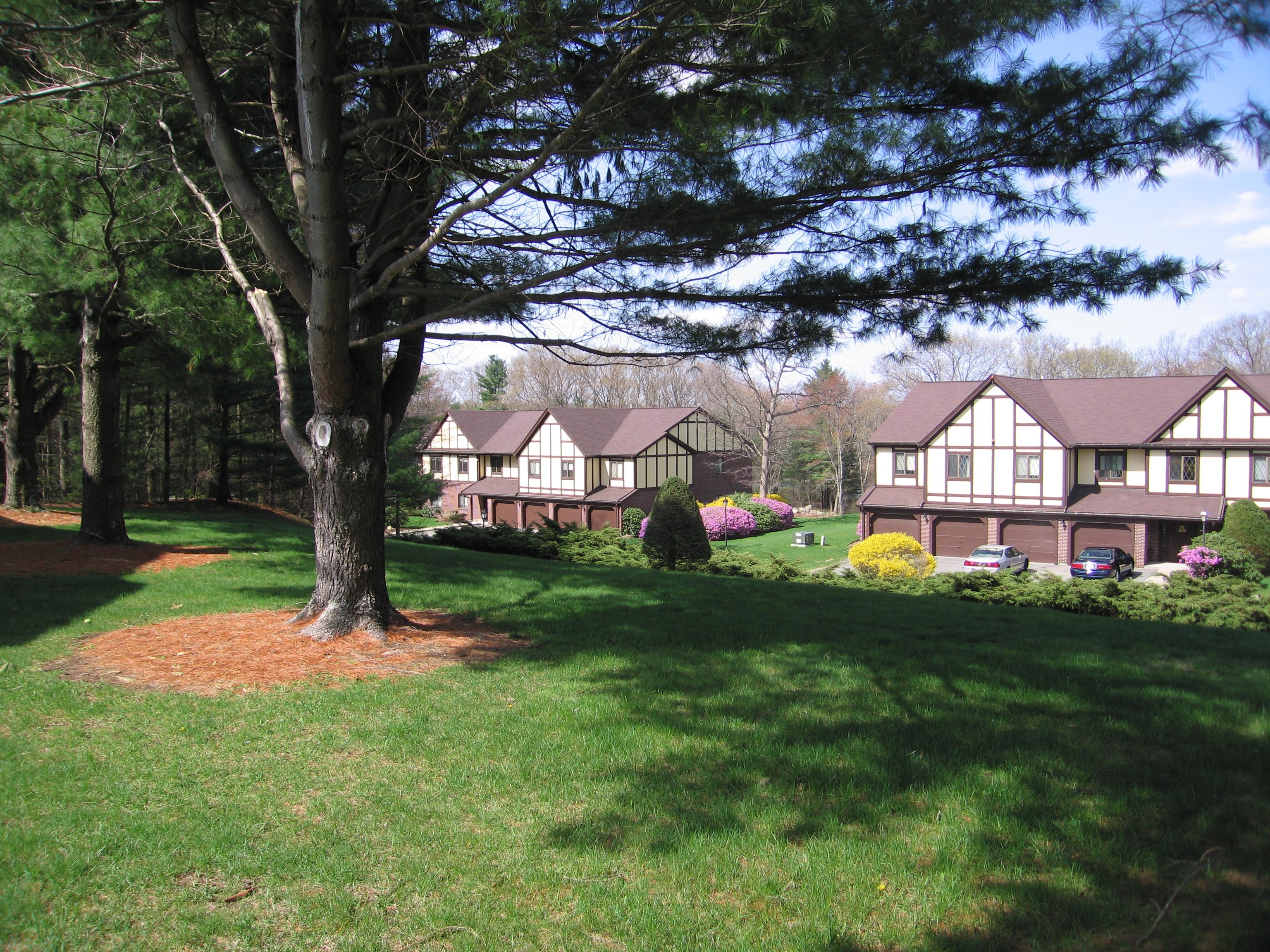 Royal Crest's Tudor buildings set among mature pines and lawns